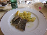 IMG 3904