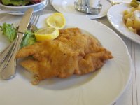 IMG 4106