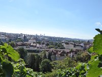 P1000618