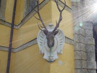 P1000914