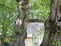 P1000946