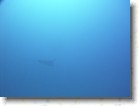 R0010496 * Unicode * 2048 x 1536 * (1.31MB)