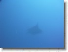 R0010499 * Unicode * 2048 x 1536 * (1.34MB)