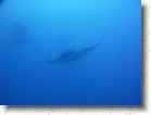 R0010510_edited * Unicode * 2048 x 1536 * (255KB)