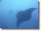 R0010511_edited * Unicode * 2048 x 1536 * (243KB)