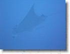 R0010513 * Unicode * 2048 x 1536 * (1.34MB)