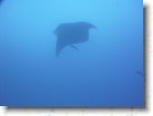 R0010514 * Unicode * 2048 x 1536 * (1.34MB)