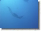 R0010518 * Unicode * 2048 x 1536 * (1.3MB)