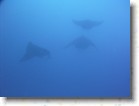 R0010528 * Unicode * 2048 x 1536 * (1.28MB)