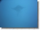 R0010529 * Unicode * 2048 x 1536 * (1.31MB)