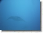R0010530 * Unicode * 2048 x 1536 * (1.32MB)