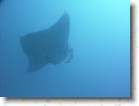 R0010531 * Unicode * 2048 x 1536 * (1.29MB)