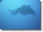 R0010534 * Unicode * 2048 x 1536 * (1.29MB)