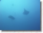 R0010539 * Unicode * 2048 x 1536 * (1.28MB)