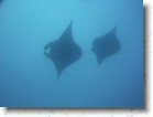 R0010540 * Unicode * 2048 x 1536 * (1.3MB)
