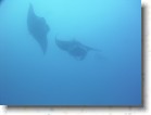 R0010543 * Unicode * 2048 x 1536 * (1.28MB)