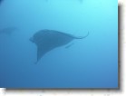 R0010545 * Unicode * 2048 x 1536 * (1.29MB)