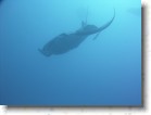 R0010546 * Unicode * 2048 x 1536 * (1.3MB)