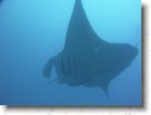 R0010548 * Unicode * 2048 x 1536 * (1.37MB)