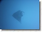 R0010550 * Unicode * 2048 x 1536 * (1.31MB)
