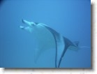 R0010552 * Unicode * 2048 x 1536 * (1.37MB)