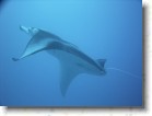 R0010553 * Unicode * 2048 x 1536 * (1.38MB)