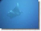 R0010555 * Unicode * 2048 x 1536 * (1.37MB)