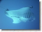 R0010556_edited * Unicode * 2048 x 1536 * (153KB)