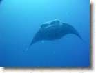 R0010557_edited * Unicode * 2048 x 1536 * (200KB)