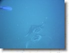 R0010559_edited * Unicode * 2048 x 1536 * (166KB)