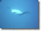 R0010565 * Unicode * 2048 x 1536 * (1.2MB)