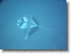 R0010567 * Unicode * 2048 x 1536 * (1.42MB)