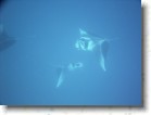 R0010571 * Unicode * 2048 x 1536 * (1.37MB)