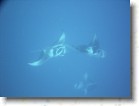 R0010572 * Unicode * 2048 x 1536 * (1.33MB)