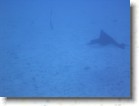 R0010665 * 2048 x 1536 * (1.35MB)