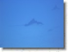R0010666 * 2048 x 1536 * (1.31MB)