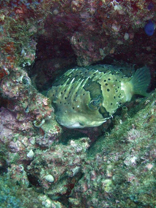 M0010488_edited-1.jpg
