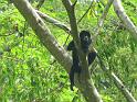 IMG_1986_edited-1