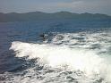 M0010482_edited-1