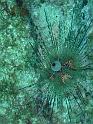 M0010490