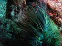 M0010539