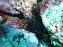 M0010541