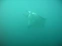 M0010543