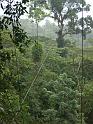 M0010604