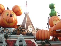 IMG 20161011 072420458