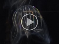 P1010552