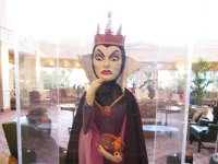 IMG 3505