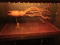 IMG 3533