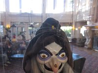 IMG 3557