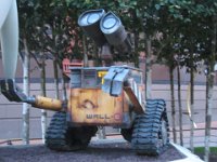 IMG 3570